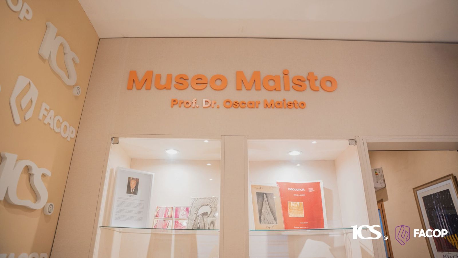 Museo Maisto